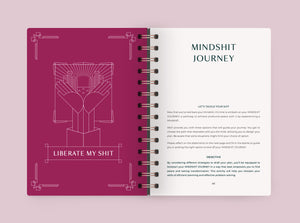 SHIT JOURNAL: MINDSHIT TO MINDSHIFT